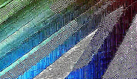 The Liquidity Audit: Why Ethereum’s L2 Cost Crisis Mirrors Telecom’s Structural Trap The Liquidity Audit: Why Ethereum’s L2 Cost Crisis Mirrors Telecom’s Structural Trap