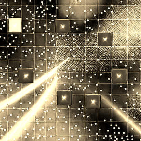 The Great Divergence: When Macro Narrative Meets On-Chain Reality The Great Divergence: When Macro Narrative Meets On-Chain Reality
